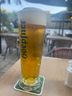 Pilsner